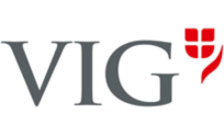 .vig Domain