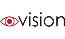 .vision Domain Country flagLogo for .vision Domain