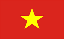 Country flagLogo for .gov.vn Domain