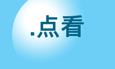 .点看 Domain Country flagLogo for .点看 Domain
