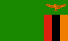 .zm Domain Country flagLogo for .zm Domain