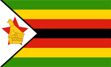 .zw Domain Country flagLogo for .zw Domain