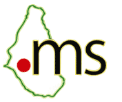 .com.ms Registry logo
