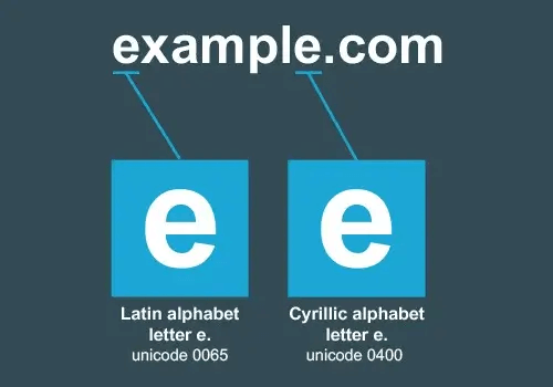 Example of a domain name with homograph characters